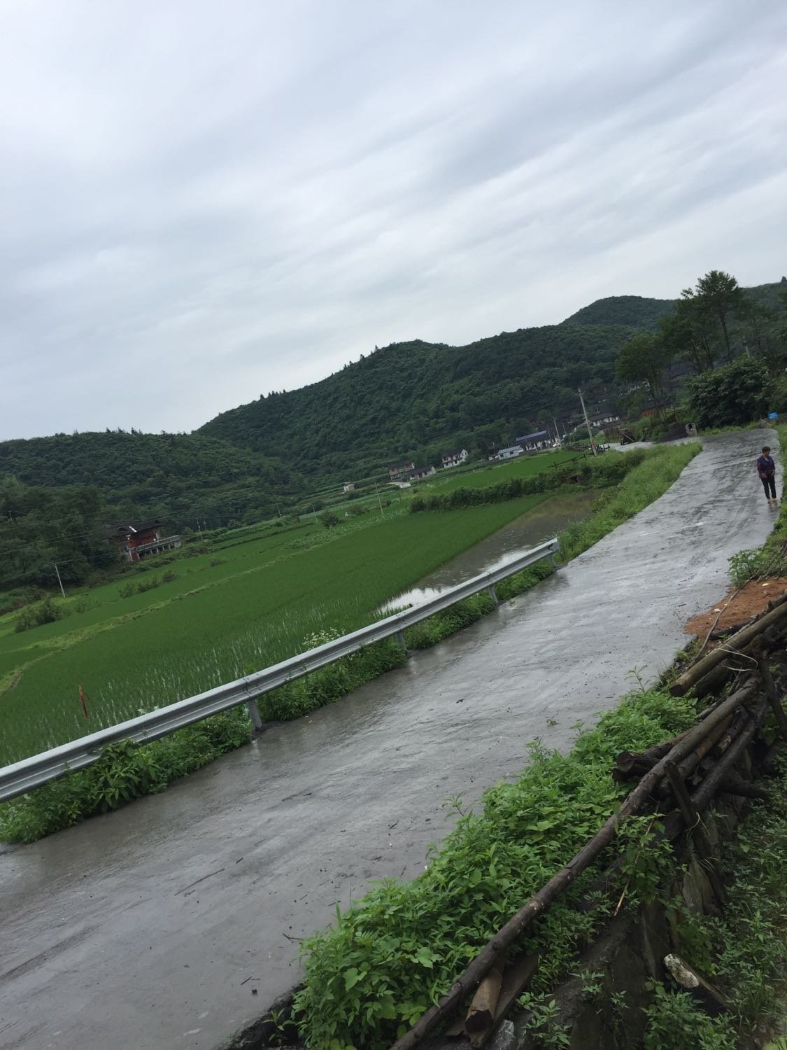 种树坪村委会天气预报更新通知