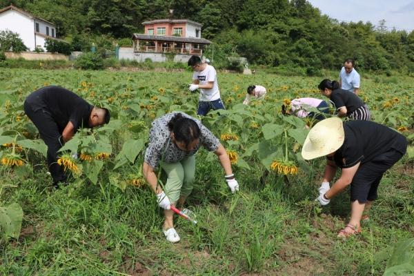 七星村交通新动态，改善助力乡村振兴