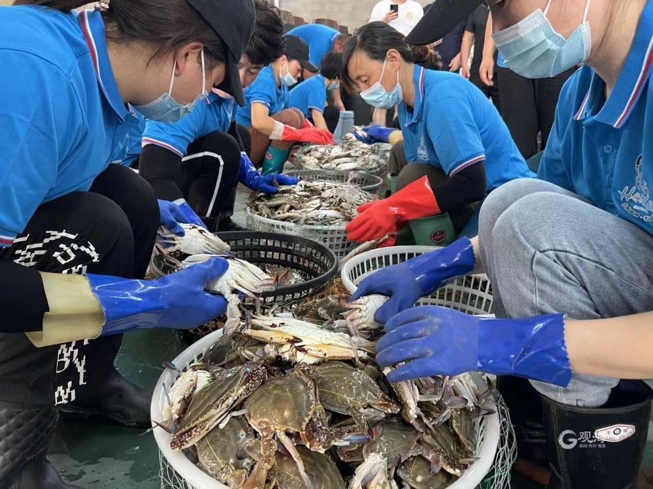 东海县公路运输管理事业单位最新动态报道