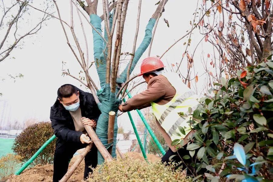 滨州市园林管理局最新项目概览与进展