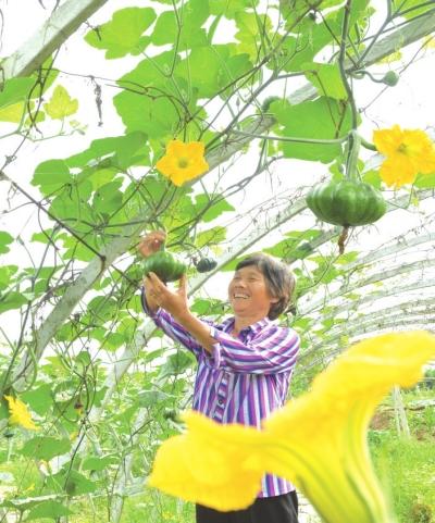 广安区农业农村局新项目推动农业现代化助力乡村振兴