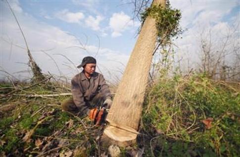 码头李镇新项目，地区发展的强大引擎