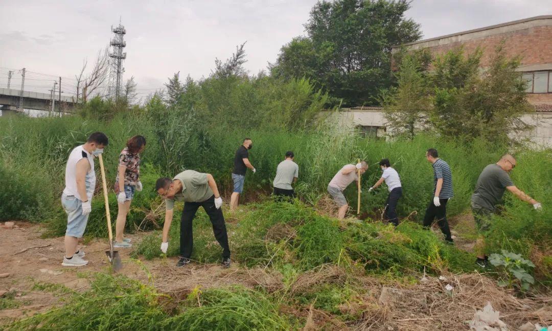 包头市地方税务局最新招聘启事概览