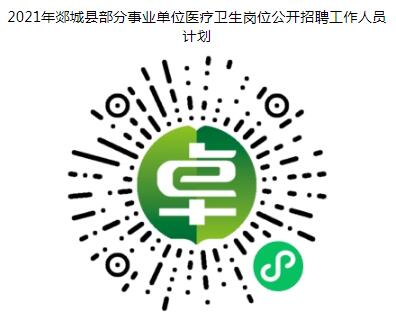 聂荣县卫生健康局最新招聘概览