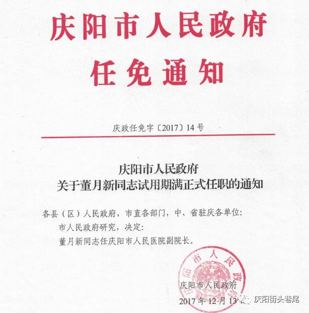 临清市审计局人事任命推动审计事业迈上新台阶