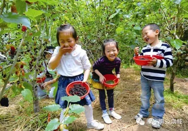 山西省晋城市阳城县寺头乡天气预报及气象分析报告