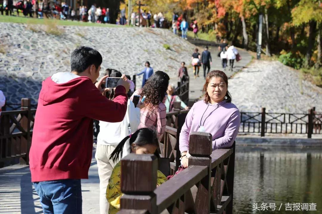 柳河县市场监督管理局最新招聘启事概览