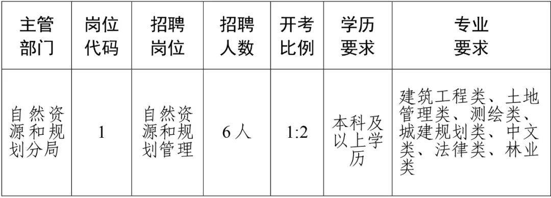 2024年12月16日 第26页