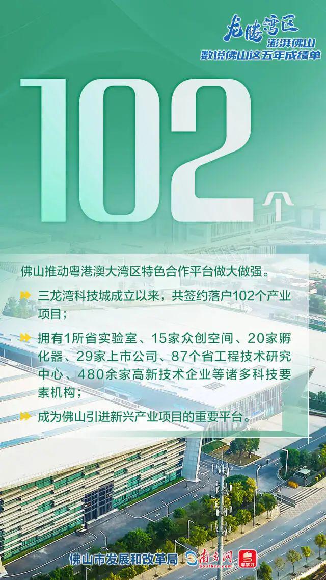 阿城区发展和改革局最新招聘信息动态及求职指南