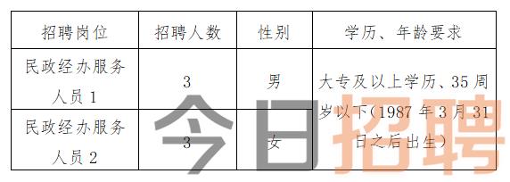 高县民政局最新招聘信息公告