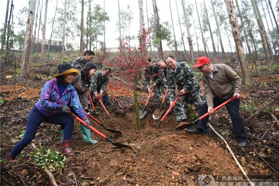 银岭村最新领导——引领乡村迈向新征程的领航者