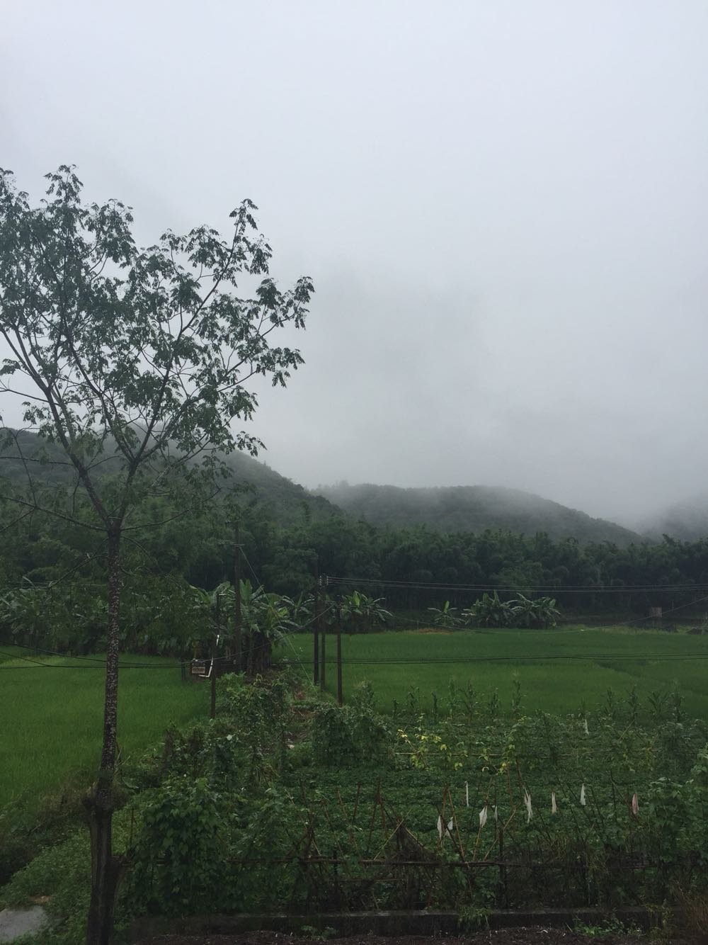 地沙布村天气预报更新通知