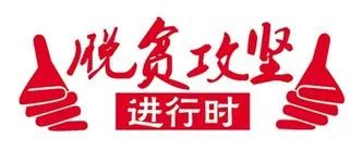 路户村委会最新招聘信息概览