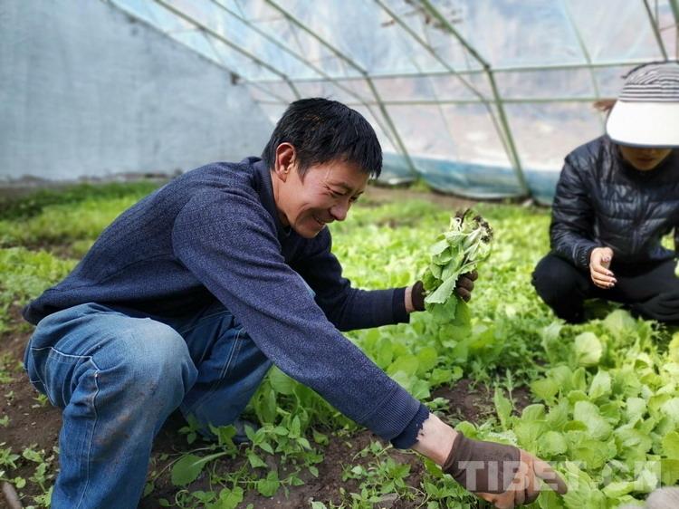 肯通乡新项目引领乡村发展动力源泉