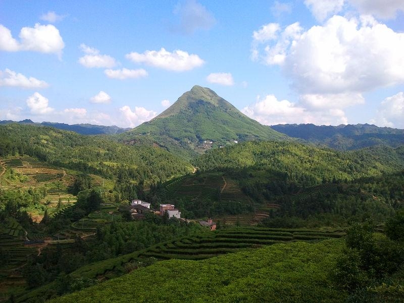 八乡山镇最新项目，地区发展的强大引擎驱动力