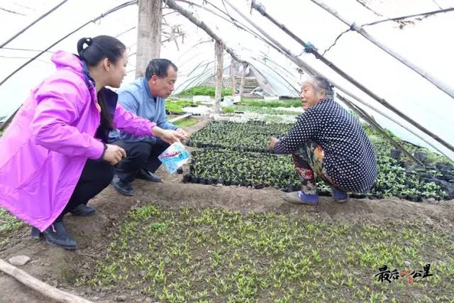 拉托村的新领导风采